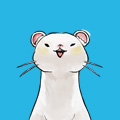 小肚肚